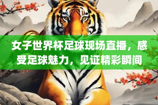 女子世界杯足球现场直播，感受足漯河市盈旭机械设备有限公司球魅力，见证精彩瞬间