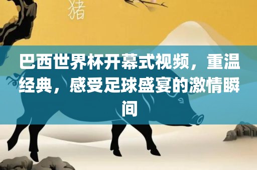巴西世界杯开幕式视频，重温经典，感受足球盛宴的激情瞬间漯河市盈旭机械设备有限公司