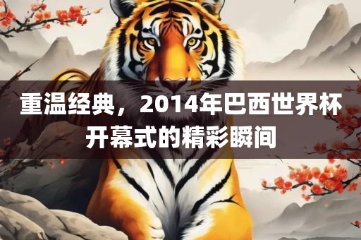 重温经典，2014年巴西世界杯开幕式的精彩瞬间