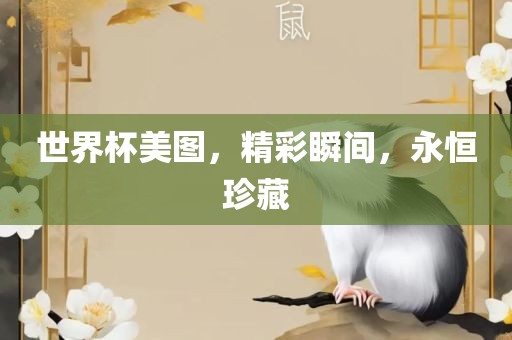 精彩瞬间 第3页