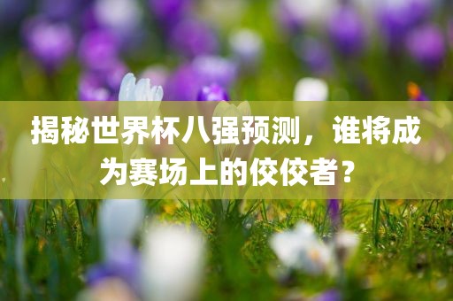 揭秘世界杯八强预测，谁将成为赛场上的佼佼者？