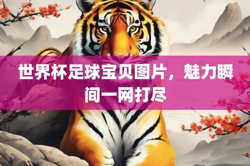 世界杯足球宝贝图片，魅力瞬间一网打尽
