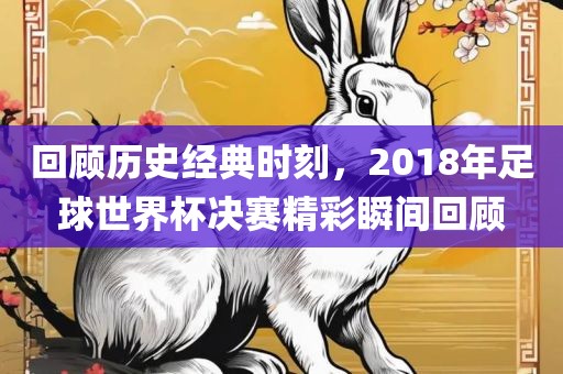 回顾历史经典时刻，2018年足球世界杯决赛精彩瞬间回顾