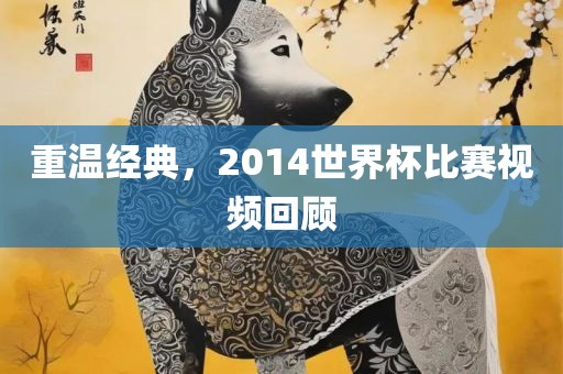 重温经典，2014世界杯比赛视频回顾漯河市盈旭机械设备有限公司