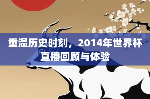 重温历史时刻，2014年世界杯直播回顾与体验漯河市盈旭机械设备有限公司
