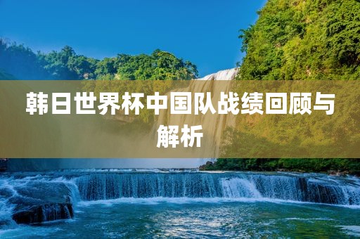 韩日世界杯中国队战绩回顾与解析