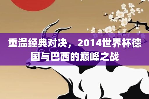 重温经典对决，2014世界杯德国与巴西的巅峰之战