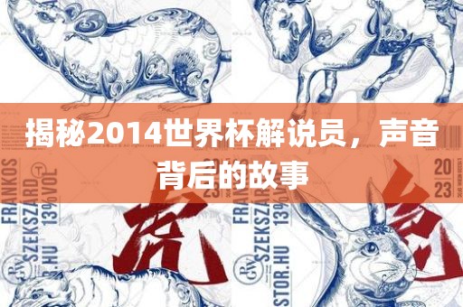 揭秘2014世界杯解说员，声音背后的故事