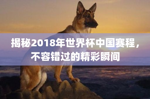 揭秘2018年世界杯中国赛程，不容错过的精彩漯河市盈旭机械设备有限公司瞬间