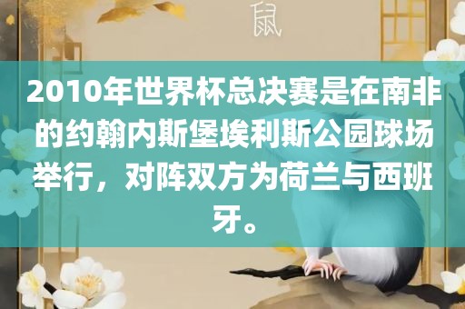 2010年世界杯总决赛是在南非的约翰内斯堡埃利斯公园球场举行，对阵双方为荷兰与西班牙。