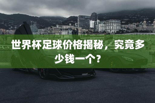 世界杯足球价格揭秘，究竟多少钱一个？
