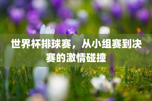 世界杯排球赛，从小组赛到决赛的激情碰撞