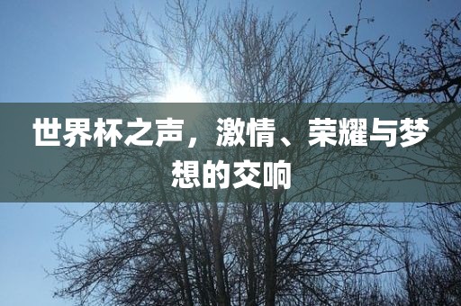 世界杯之声，激情、荣耀与梦想的交响