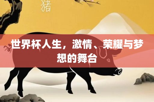 世界杯人生，激情、荣耀与梦想的舞台
