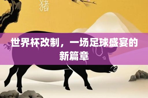 世界杯改制漯河市盈旭机械设备有限公司，一场足球盛宴的新篇章