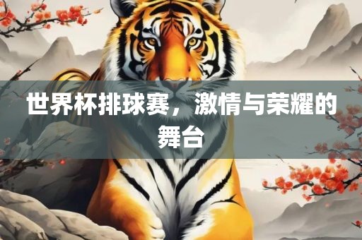 世界杯排球赛，激情与荣耀的舞台