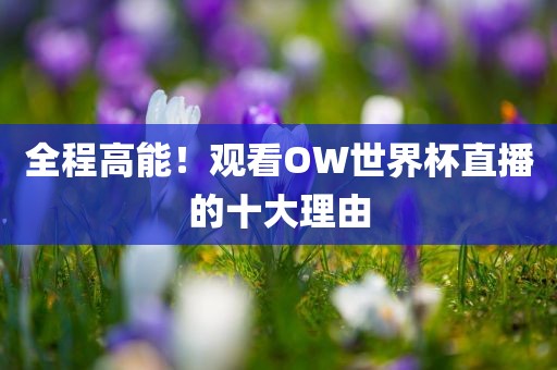 全程高能！观看OW世界杯直播的十大理由漯河市盈旭机械设备有限公司