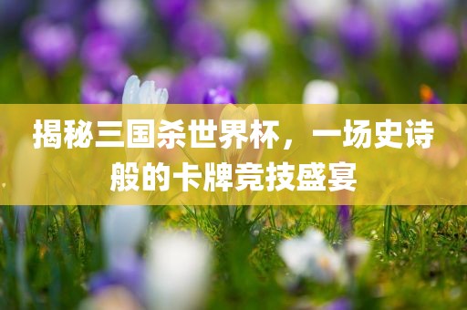 揭秘三国杀世界杯，一场史诗般的卡牌竞技盛宴漯河市盈旭机械设备有限公司