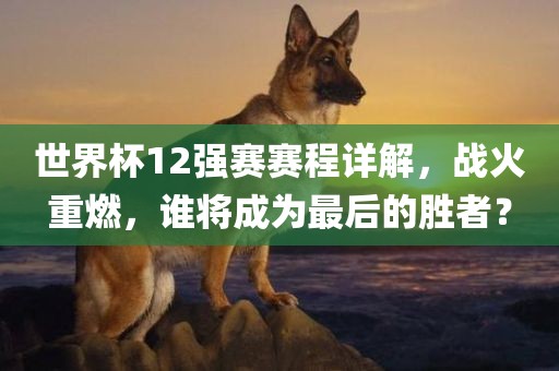 世界杯12强赛赛程详解，战火重燃，谁将成为最后的胜者？