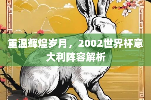 重温辉煌岁月，2002世界杯意大利阵容解析漯河市盈旭机械设备有限公司