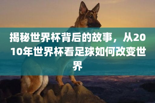 揭秘世界杯背后的故事，从2010年世界杯看足球如何改变世界