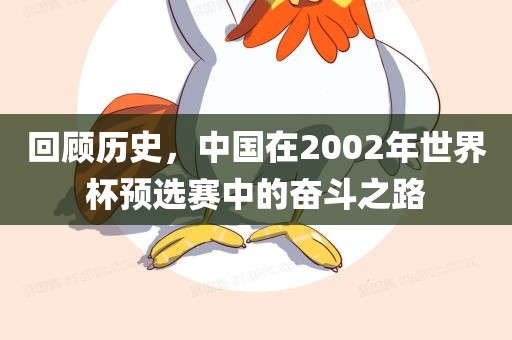 回顾历史，中国在2002年世界杯预选赛中的奋斗之路漯河市盈旭机械设备有限公司