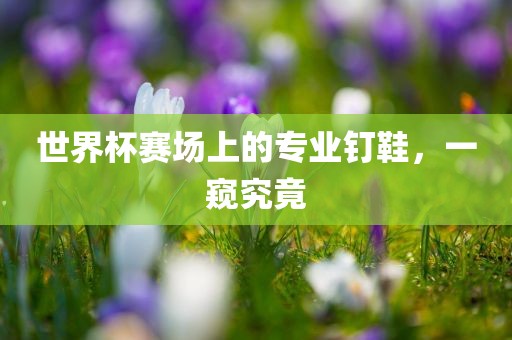 世界杯赛场上的专业钉鞋，一窥究竟漯河市盈旭机械设备有限公司