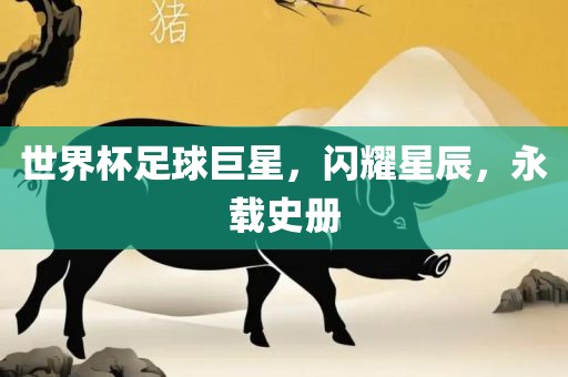 世界杯足球巨星，闪耀星辰，永载史册漯河市盈旭机械设备有限公司