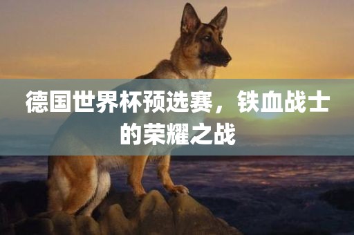 德国世界杯预选赛，铁血战士的荣耀之战
