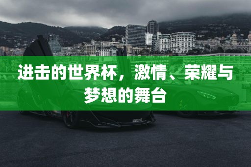 进击的世界杯，激情、荣耀与梦想的舞台漯河市盈旭机械设备有限公司
