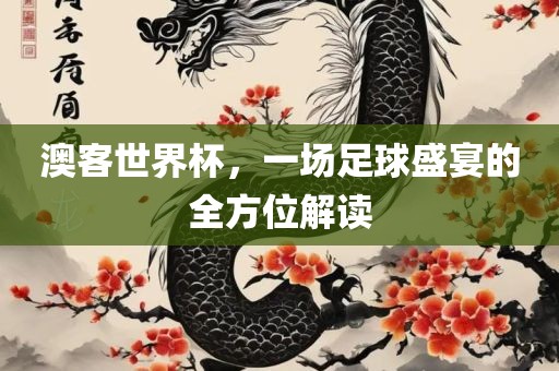 澳客世界杯，一场足球盛宴的全方位解读