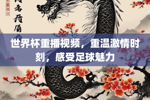 足球魅力 第3页