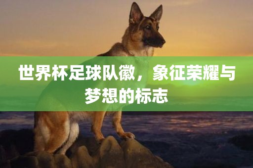世界杯足球队徽，象征荣耀与梦想的标志漯河市盈旭机械设备有限公司