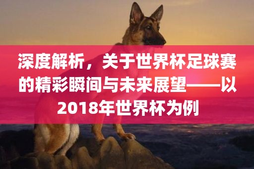 深度解析，关于世界杯足球赛的精彩瞬间与未来展望——以2018年世界杯为例