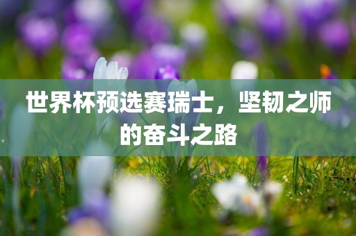 世界杯预选赛瑞士，坚韧之师的奋斗之路