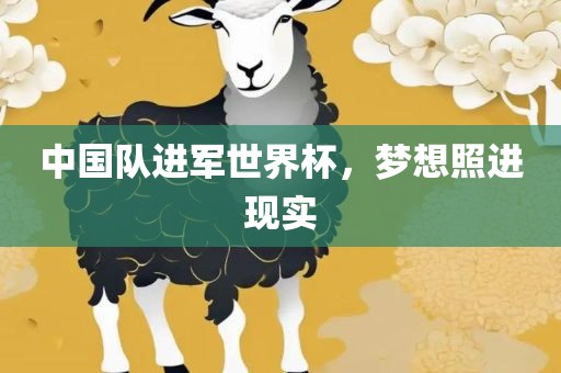 中国队进军世界杯，梦想照进现实