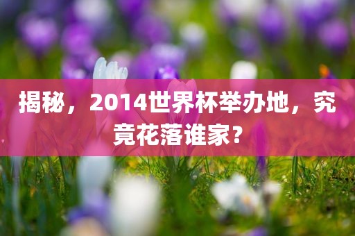 揭秘，2014世界杯举办地，究竟花落谁漯河市盈旭机械设备有限公司家？