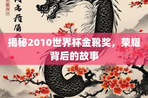 揭秘2010世界杯金靴奖，荣耀背后的故事