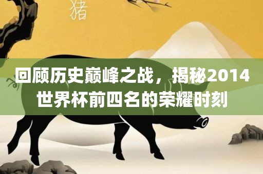 回顾历史巅峰之战，揭秘2014世界杯前四名的荣耀时刻