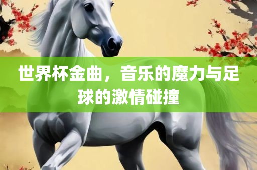 世界杯金曲，音乐的魔力与足球的激情碰撞