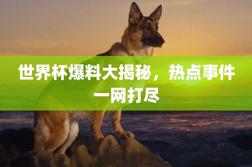 世界杯爆料大揭秘，热点事件一网打尽漯河市盈旭机械设备有限公司