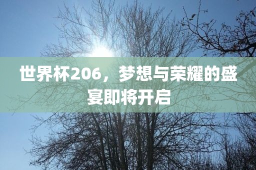 世界杯206，梦想与荣耀的盛宴即将开启