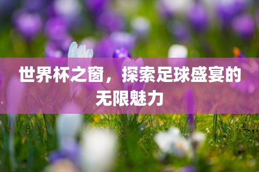 世界杯之窗，探索足球盛宴的无限魅力漯河市盈旭机械设备有限公司