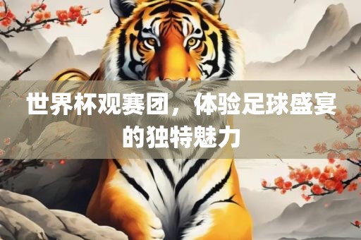 世界杯观赛团，体验足球盛宴的独特魅力