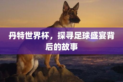 丹特世界杯，探寻足球盛宴背后的故事漯河市盈旭机械设备有限公司