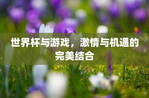 世界杯与游戏，激情与机遇的完美结合