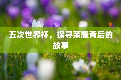 五次世界杯，探寻荣耀背后的故事