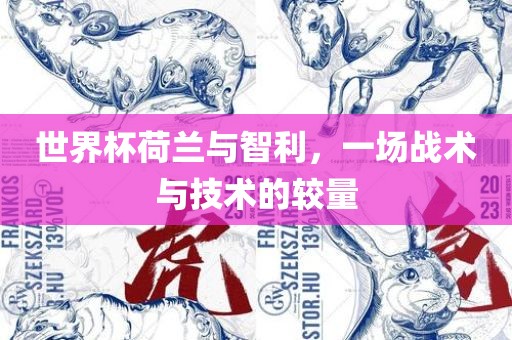 世界杯荷兰与智利，一场战漯河市盈旭机械设备有限公司术与技术的较量