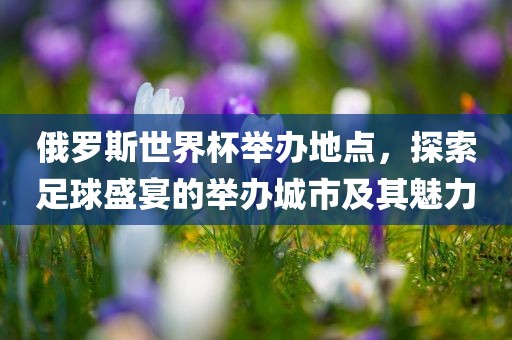 俄罗斯世界杯举办地点，探索足球盛宴的举办城市及其魅力漯河市盈旭机械设备有限公司