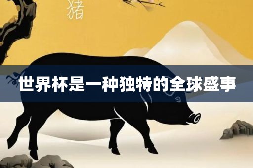 世界杯是一种独特的全球盛事漯河市盈旭机械设备有限公司